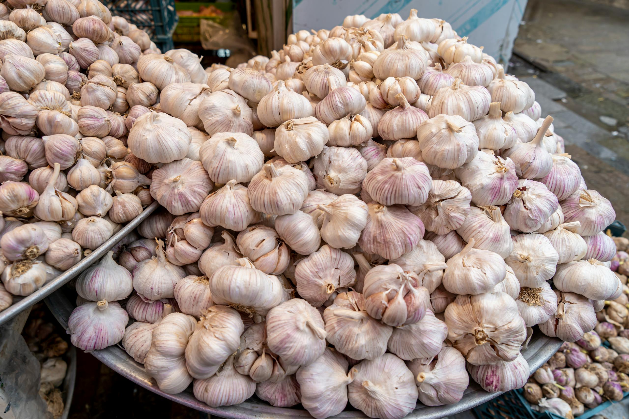 A close-up view of fresh garlic bulbs stacked in aluminum basins at a market in Rasht, Iran.