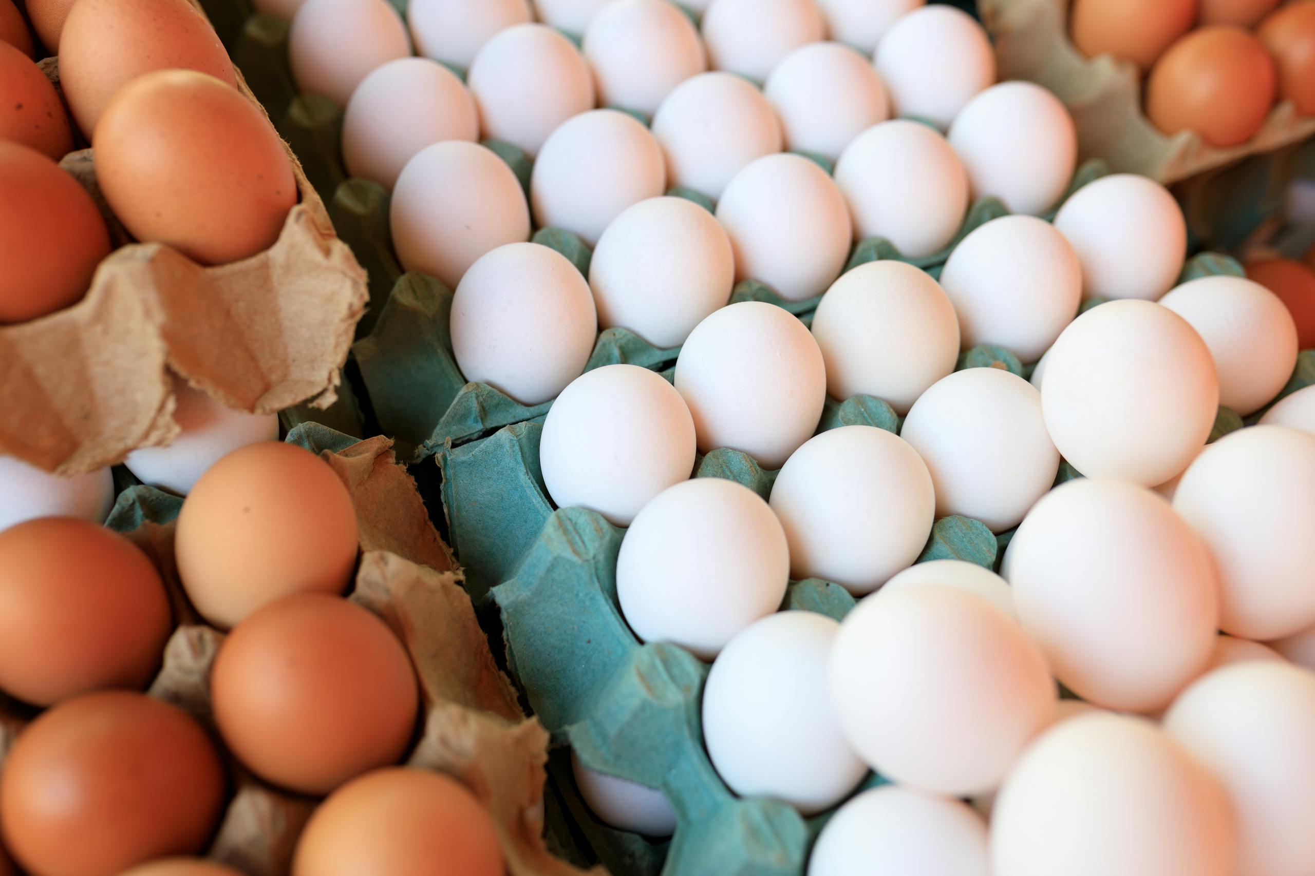 Close-up image of brown and white eggs arranged in cartons, showcasing natural food variety.